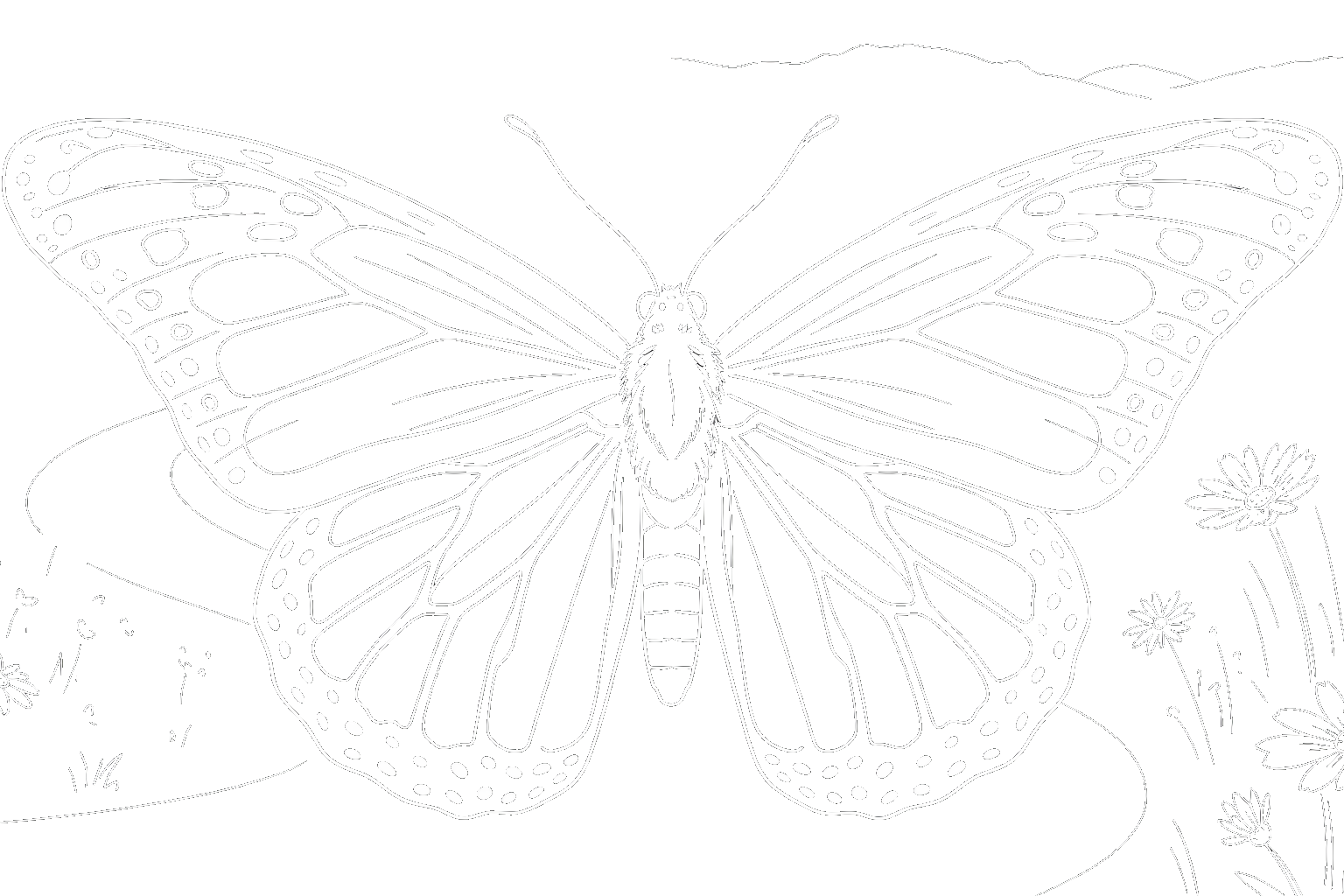 Butterfly emerging from cocoon - mental resilience through meditation without music